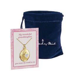 You Mean the World to Me Granddaughter Diamond Locket 10698 0014 g gift pouch card
