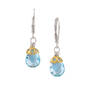 Anatoli Blue Topaz Drop Earrings 11142 1756 a main
