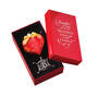 My Daughter in Law Illuminated Keepsake Ornament 10543 0011 c diplay box