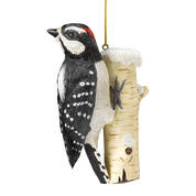 Downy Woodpecker Christmas Ornament 12059 0088 a main