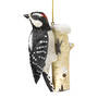 Downy Woodpecker Christmas Ornament 12059 0088 a main