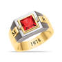 Personal Legacy Birthstone and Diamond Ring 12236 0019 a january