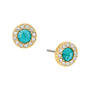 Seven Shades of Wonderful 14 Pair Earring Collection 12175 0046 a main