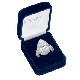 Bold and Beautiful Sterling Silver Ring 10277 0013 g disply box