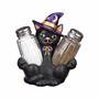 Seasonal Sensations Salt  Pepper Holders 2727 001 6 3