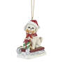 Dog Annual Ornament Bichon 6428 0530 a main
