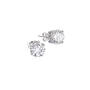 Essential Earring Set 12157 0048 a earring