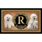 The Dog Accent Rug 6859 0033 a Bichon