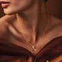 Chocolate Splendor Pendant & Box Set, Chocolate Splendor Pendant Box Set 10184 0015 m model