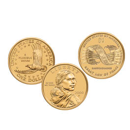 Native American Golden Dollar Collection 1511 0018 a main