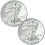 The Mystery Mint American Eagle Silver Dollar Collection SEB 1