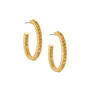 The Essential Birthstone Hoop Earrings 11034 0056 k november