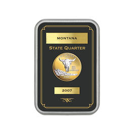 The Complete Platinum and Gold Statehood Quarters Collection 11579 0016 b MOpanel
