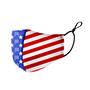 Land of the Free Face Masks 10022 0011 d flag