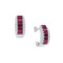 Birthstone Eternity Earrings 2811 0054 a main