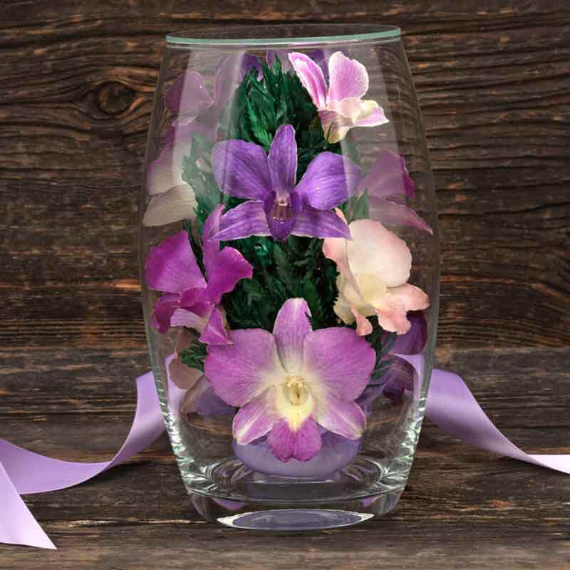 Miracle Orchids 4607 001 7 3