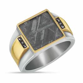 Galactic Voyager Meteorite Ring 1865 001 0 1