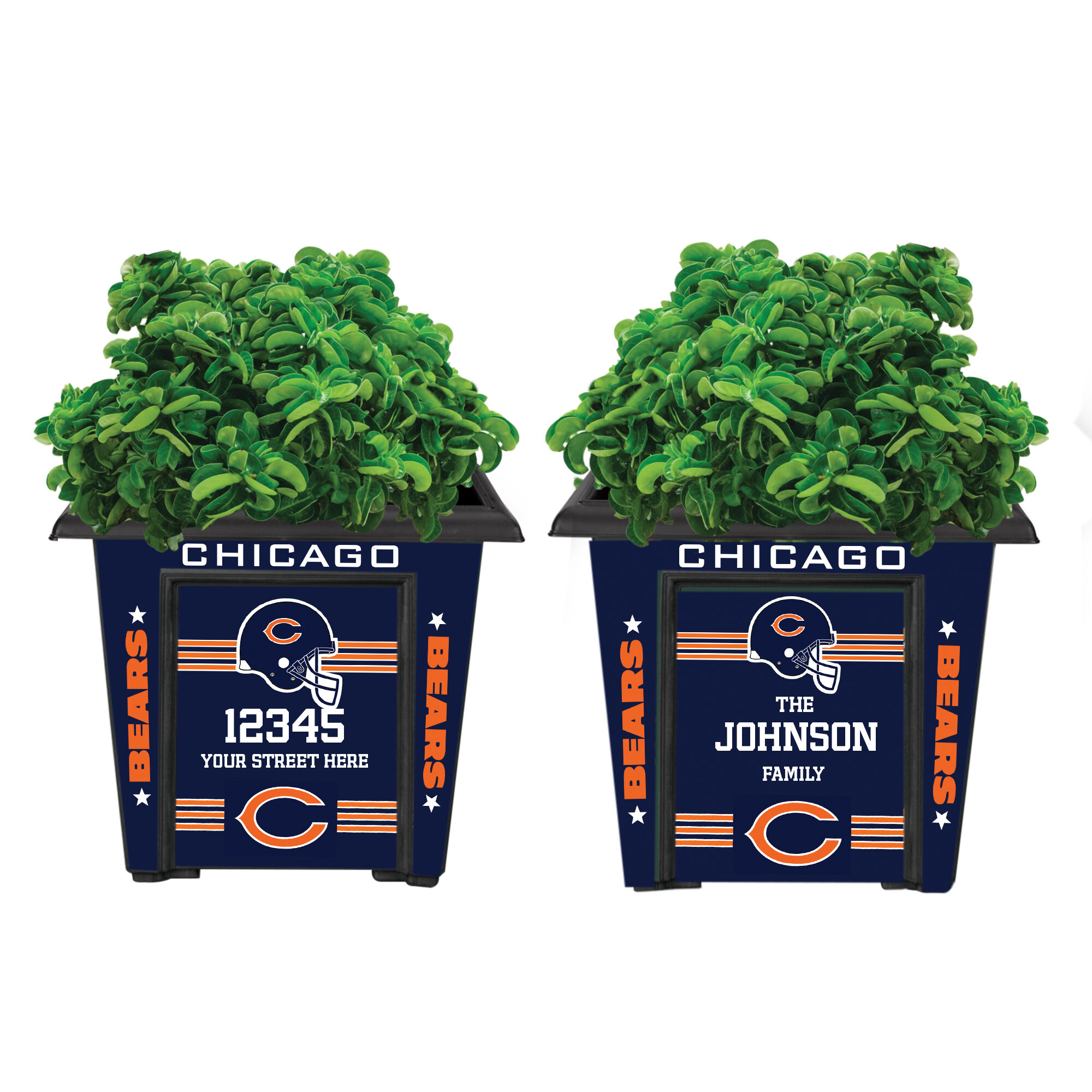 The NFL Personalized Planters 1929 0048 a bears