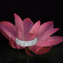 The Lotus Flower Eternity Ring 11577 0018 c ring