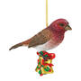 Purple Finch Christmas Ornament 12059 0120 a main