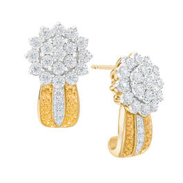 Birthstone Radiance Earrings 5687 0074 k november