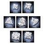 Seven Days of Dazzle, Seven Days of Dazzle 7981 003 2 2