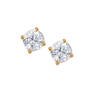 Essentials Mocha Swirl Earring Set 10731 0013 g earring06