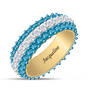 Birthstone Beauty Eternity Ring 6911 0021 l december