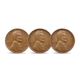 Shell Case Pennies Coin Roll Set 11955 0010 c coins