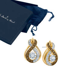 Perfectly Paired Mocha Swirl Earrings 4978 0042 g gift pouch box