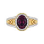 The Glorious Garnet Ring by Maureen Drdak 11468 0010 c front