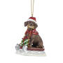 Dog Annual Ornament DachsRed 6428 0613 a main