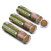 Shell Case Pennies Coin Roll Set 11955 0010 b rolls