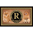 The Dog Accent Rug 6859 0033 a Pomeranian