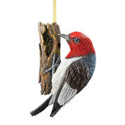Woodpecker Christmas Ornament 12059 0138 a main