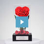 Forever Yours Miracle Rose, , video-thumb