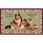 The Sheltie Area Rug 4367 006 6 1