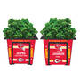The NFL Personalized Planters 1929 0048 a chiefs