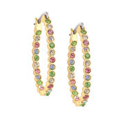 Sparkling Spring Hoop Earrings 12011 0044 a main