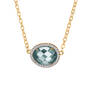 The Birthstone Statement Necklace 11614 0013 m december