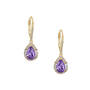 Birthstone Elegance Earrings, Birthstone Elegance Earrings 11762 0047 b february