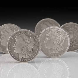 The Complete Collection of Morgan Silver Dollars 5423 001 6 2