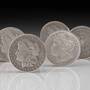 The Complete Collection of Morgan Silver Dollars 5423 001 6 2