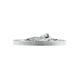 The American Wildlife Ultra High Relief Silver Bullion Commemoratives 10919 0017 c commemorativeedge