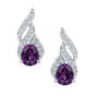 Genuine Birthstone & Diamond Earrings, Genuine Birthstone and Diamond Earrings 11573 0020 b february