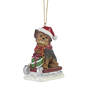 Dog Annual Ornament YorkiePC 6428 0597 a main