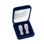 Birthstone Swirl Earrings 6366 0021 m display box