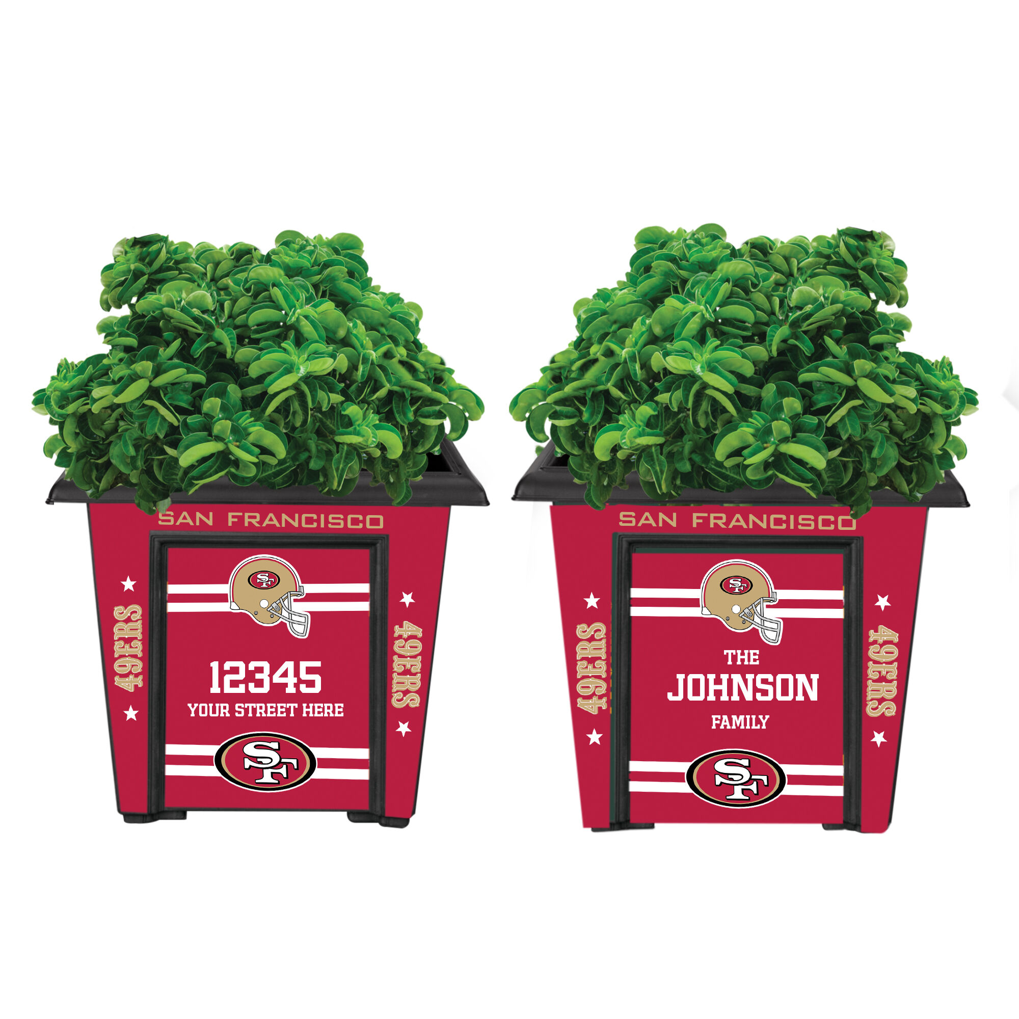 The NFL Personalized Planters 1929 0048 a 49ers