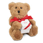 I Love You Forever Teddy bear and Diamond Pendant 10595 0026 b bear
