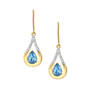 The Birthstone Diamond Drop Earrings 11073 0017 c march